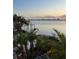 Peaceful waterfront view showing a dock over calm water and lush tropical trees at 1844 Venetian Point Dr, Clearwater, FL 33755
