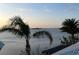 Beautiful water view featuring palm trees in the foreground and ocean scenery at 1844 Venetian Point Dr, Clearwater, FL 33755