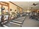 Spacious gym with multiple treadmills and exercise equipment, ideal for maintaining a healthy lifestyle in the community at 625 Mirabay Blvd, Apollo Beach, FL 33572