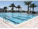 Relaxing swimming pool with lane dividers surrounded by tropical palm trees for a refreshing and active lifestyle at 625 Mirabay Blvd, Apollo Beach, FL 33572