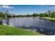 Scenic view of a serene pond surrounded by lush greenery under a clear sky at 9133 Warm Springs Cir, Parrish, FL 34219