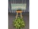 A wooden sign that reads 'Better When We're Together' is displayed in front of blue curtains and a potted plant at 9208 37Th N St, Pinellas Park, FL 33782