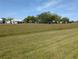 Spacious community yard with lush green grass and mature trees at 9208 37Th N St, Pinellas Park, FL 33782