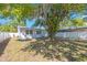Backyard with a large tree providing shade and a well maintained lawn at 6711 3Rd N St, St Petersburg, FL 33702