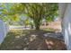 Large backyard with a mature tree, partial fence, and shed at 6711 3Rd N St, St Petersburg, FL 33702
