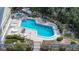 An aerial view of a bright blue pool with lounge chairs and tropical plants at 1500 Sunset Rd # G4, Tarpon Springs, FL 34689