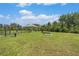 Well-maintained dog park features a gazebo, benches, and play area for furry friends at 18184 Turning Leaf Cir, Land O Lakes, FL 34638