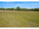 View of open green sports field, perfect for recreational activities and community events at 18184 Turning Leaf Cir, Land O Lakes, FL 34638