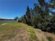 View of a grassy backyard with mature trees at 21838 Edgewater Dr, Port Charlotte, FL 33952