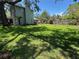 Spacious backyard featuring lush green lawn and privacy landscaping at 3316 S Shamrock Rd, Tampa, FL 33629