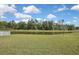 Scenic view of a tranquil pond surrounded by trees and lush greenery, offering a peaceful backdrop at 35965 Saddle Palm Way, Zephyrhills, FL 33541