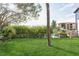 Green backyard perfect for outdoor activities and relaxation at 4319 Harbor House Dr, Tampa, FL 33615
