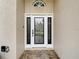 Elegant front door with decorative glass panel, sidelights and a matching transom window at 6716 Frontier Ln, Tampa, FL 33625