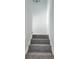 Carpeted stairway leading to the upper level of the home at 8707 Sailmaker Ct, Tampa, FL 33615