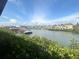 Scenic water view overlooking marina, docks, and boats surrounded by lush greenery at 8707 Sailmaker Ct, Tampa, FL 33615