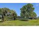 Large, grassy backyard with a screened-in patio surrounded by mature trees and landscaping at 10 Arbor Ln, Oldsmar, FL 34677