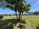 Beautiful golf course view with lush greenery, palm trees and blue skies, perfect for relaxing at 10 Arbor Ln, Oldsmar, FL 34677