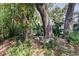 Tranquil backyard setting with mature trees and natural landscaping at 10514 52Nd N Ave, St Petersburg, FL 33708