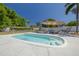 Backyard pool area with an umbrella, chairs, and plenty of room for outdoor relaxation and recreation at 1541 68Th N Ave, St Petersburg, FL 33702