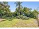 Lush backyard with tropical foliage and lots of green space at 2414 W State St, Tampa, FL 33609