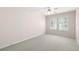 Comfortable bedroom with soft carpet, ceiling fan, and bright windows at 2920 W El Prado Blvd # 4, Tampa, FL 33629