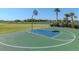 Well-maintained basketball court with scenic views, perfect for outdoor recreation and sports activities at 34355 Sorrel Mint Dr, Wesley Chapel, FL 33543