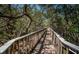 Scenic wooden walkway surrounded by lush trees and greenery, offering a tranquil escape at 4801 Osprey S Dr # 508, St Petersburg, FL 33711