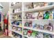 Well-organized walk-in pantry featuring ample shelving for optimal storage and organization at 11602 Crowned Sparrow Ln, Tampa, FL 33626
