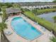 An aerial view of the community pool with lounge chairs at 11602 Crowned Sparrow Ln, Tampa, FL 33626