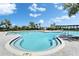 Zero entry section of a community pool and palm trees at 14239 Swiss Bridge Dr, Riverview, FL 33579