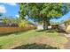 Large backyard featuring a well manicured lawn and wood fence at 145 Avon Dr, Safety Harbor, FL 34695