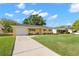 Charming yellow ranch-style home with a lush green lawn and a long driveway, perfect for suburban living at 145 Avon Dr, Safety Harbor, FL 34695