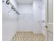 Spacious walk-in closet featuring carpeted floor and multiple levels of shelving at 2927 W Bayshore Ct, Tampa, FL 33611