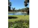 Scenic pond view featuring a fountain, lush green lawn, and tropical landscaping at 3001 58Th Ave S # 1103, St Petersburg, FL 33712