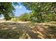 View of wooded land with lush landscape surrounding the home at 308 N Smokey Mountain Rd, Seffner, FL 33584