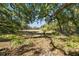 View of wooded land and natural landscape surrounding the home at 308 N Smokey Mountain Rd, Seffner, FL 33584