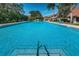 Inviting community pool featuring sparkling blue water surrounded by well-manicured landscaping and comfortable lounge chairs at 320 N Bayshore Blvd # 208, Clearwater, FL 33759