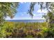 Tranquil lake view framed by lush greenery and Spanish moss, showcasing the serene natural beauty at 4206 Preserve Pl, Palm Harbor, FL 34685