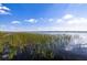 Scenic view of a lake with lush grass, clear blue skies, and puffy white clouds at 4206 Preserve Pl, Palm Harbor, FL 34685