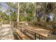 Picnic table on a wooden deck surrounded by lush vegetation, creating a serene outdoor dining area at 4206 Preserve Pl, Palm Harbor, FL 34685
