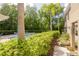 Backyard lush landscaping leads to a secluded pool area, offering privacy and tranquility at 4206 Preserve Pl, Palm Harbor, FL 34685