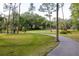 Scenic walking path winding through a grassy field, perfect for a morning stroll at 4206 Preserve Pl, Palm Harbor, FL 34685