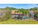 Lush backyard featuring a screened-in pool, mature palm trees, and inviting outdoor living space at 5137 Epping Ln, Zephyrhills, FL 33541