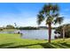 Condominium pond view with palm tree at 6495 Shoreline Dr # 8106, St Petersburg, FL 33708