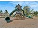 Community playground with green climbing structure and slides on a wood chip surface at 11828 Miracle Mile Dr, Riverview, FL 33578