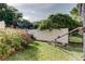Backyard lawn with decorative bush at 263 Alexander Woods Dr, Plant City, FL 33563