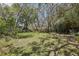 Lush backyard offering a serene escape with mature trees and vibrant greenery at 33357 Westwood Dr, Ridge Manor, FL 33523