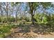 Backyard featuring lush trees and grass, providing a great outdoor space at 33357 Westwood Dr, Ridge Manor, FL 33523