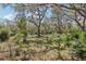 Lush backyard shaded by mature trees offers a peaceful outdoor space at 33357 Westwood Dr, Ridge Manor, FL 33523