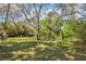 Large grassy lot with mature trees at 33357 Westwood Dr, Ridge Manor, FL 33523